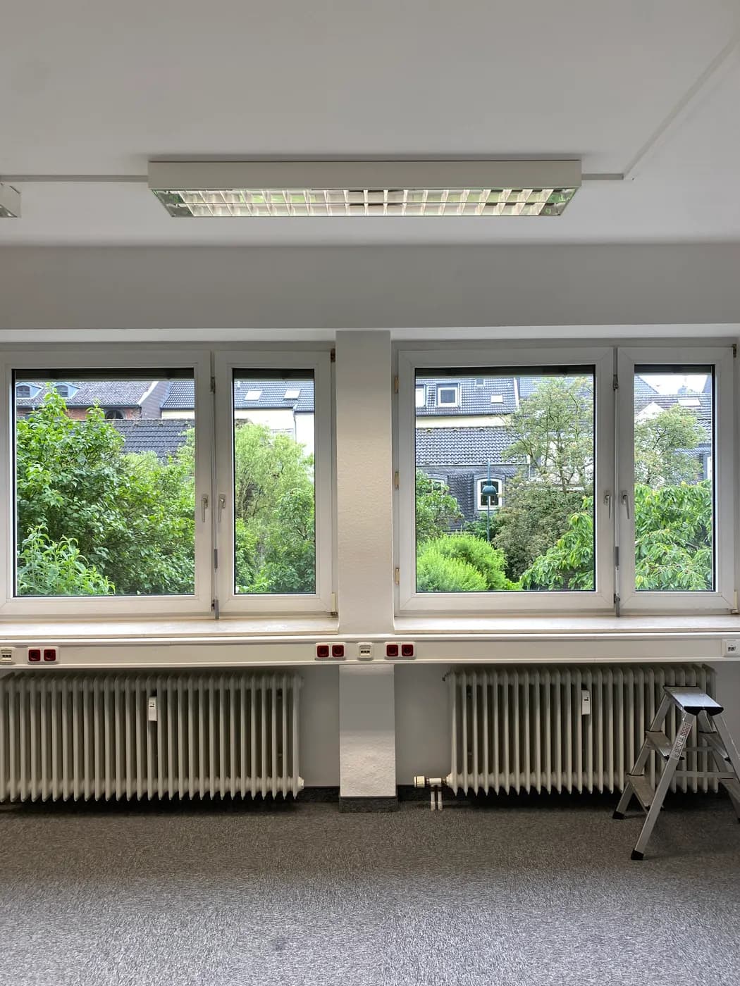 Saubere Fenster mit Blick ins Grüne